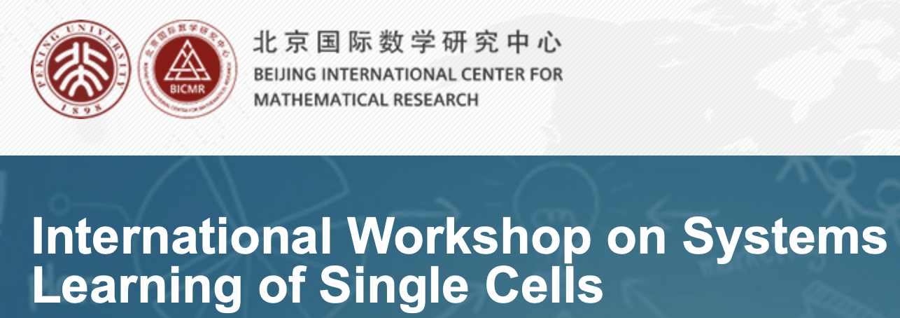 International workshop in Beijing