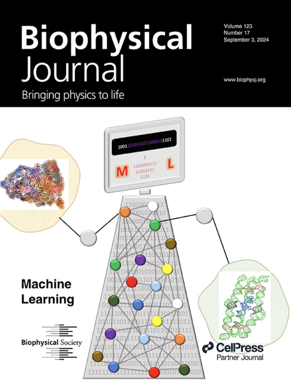 Biophysical Journal cover