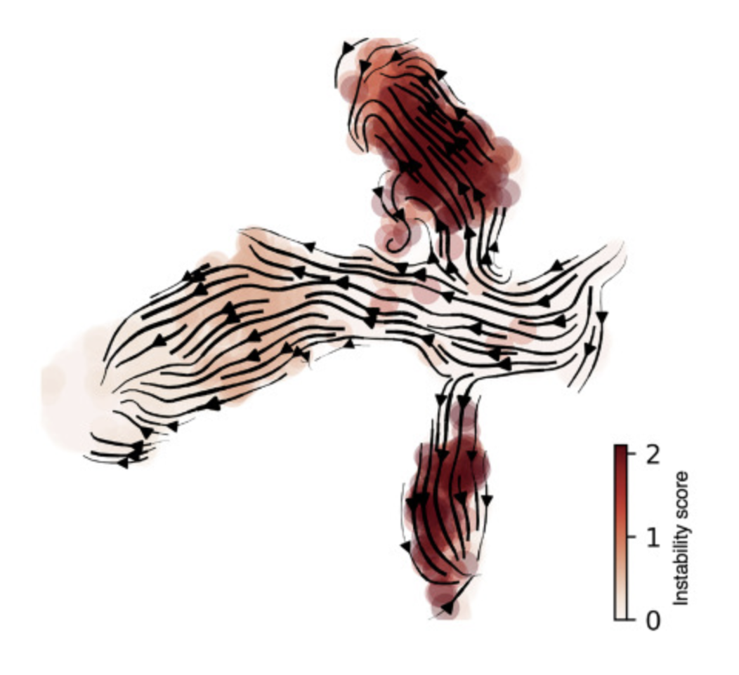 The workflow of the 
                bioinformatic package for cell fate tipping point identification developed in the lab of Federico Bocci