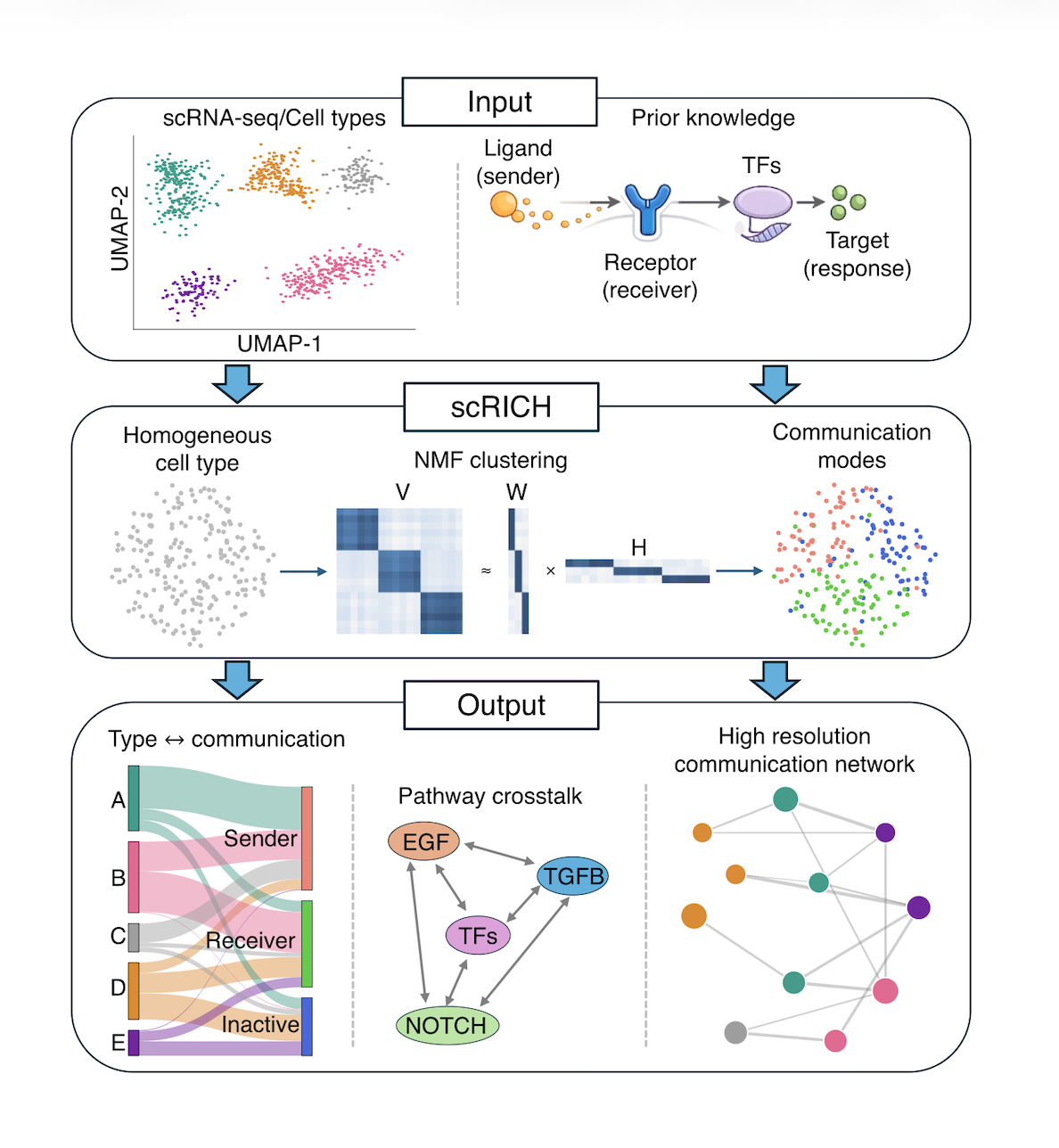 Illustration from the cell-cell communication paper